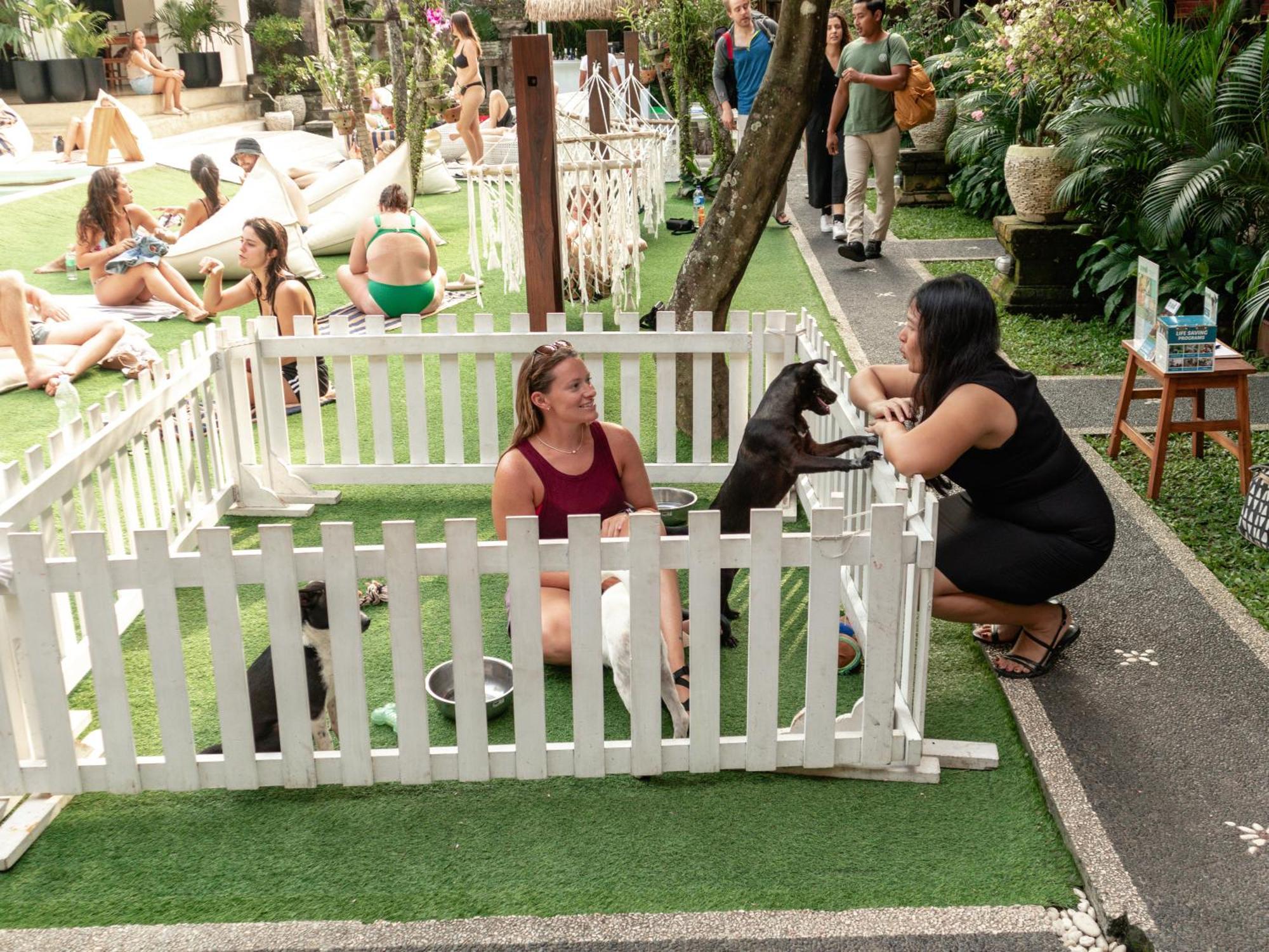 Puri Garden Hotel & Hostel Ubud  Exterior photo